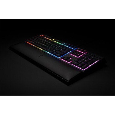 RAZER ORNATA CHROMA