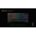 RAZER ORNATA CHROMA